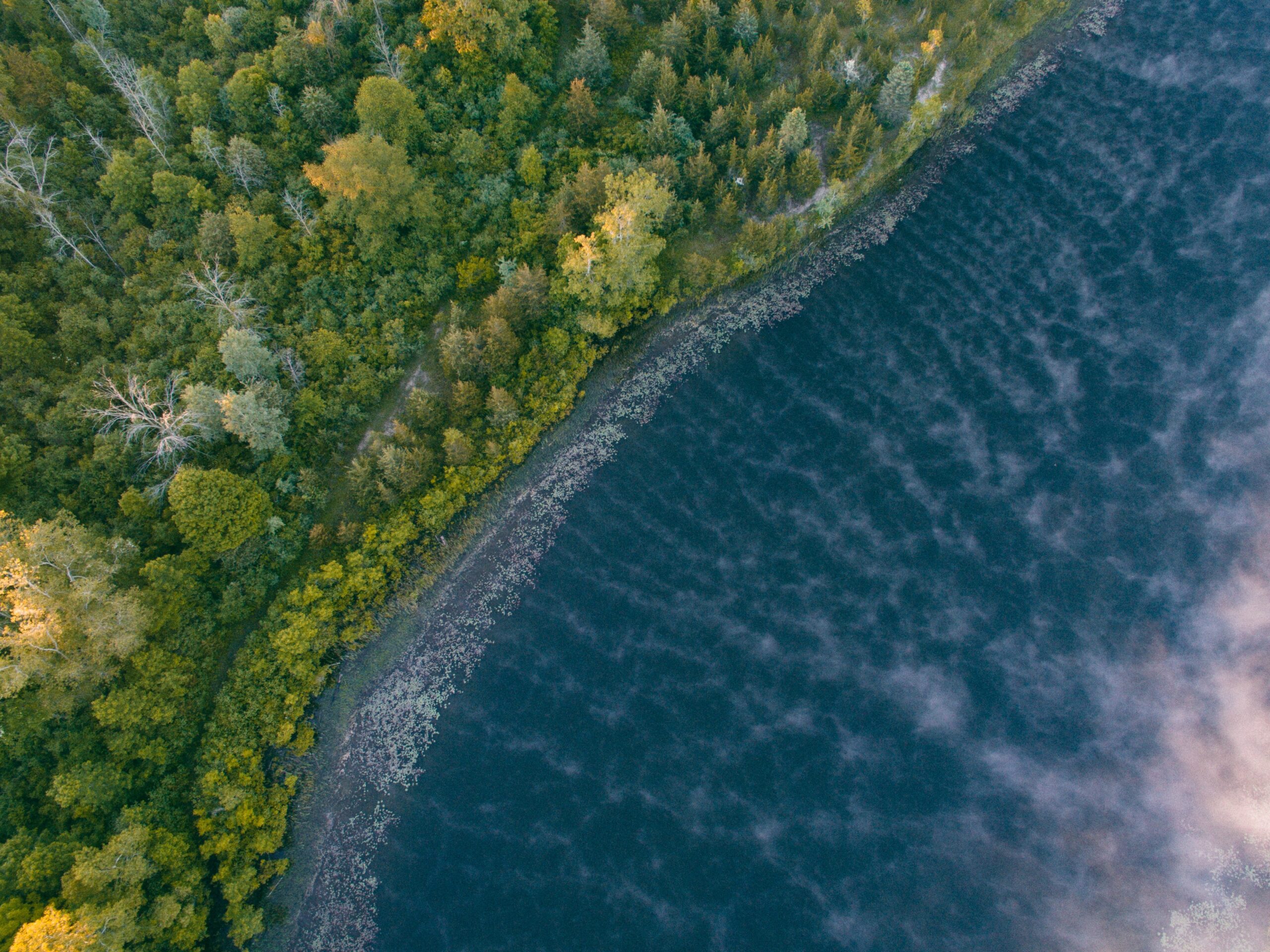 About Lake Bluff Inn and Suites | Hotel South Haven, MI